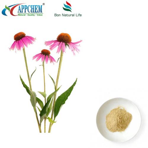 Echinacea Purpurea Estratt Trab