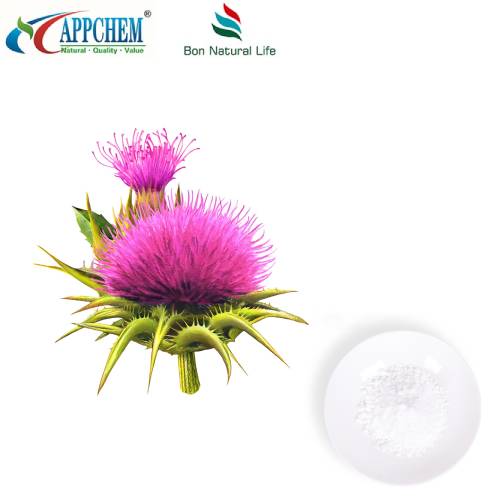 Silybin Milk Thistle Estratt