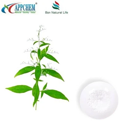 Andrographis Paniculata Estratt Andrographolide