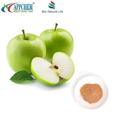 Ingredjent Antiossidant Procyanidin B2 Trab