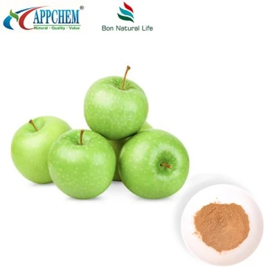 Estratt tat-tuffieħ Procyanidin B2 Trab Fil-Ħażna