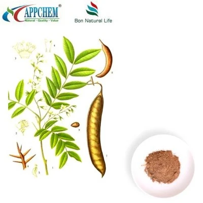 Cassia Nomame Estratt