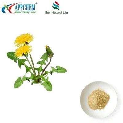 Flavonoids tat-trab tal-estratt taċ-ċikwejra