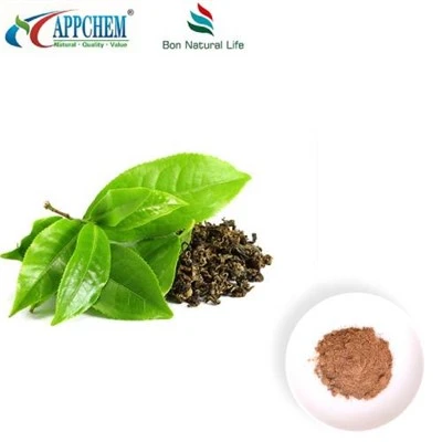 Green Tea 95 Polyphenols Trab
