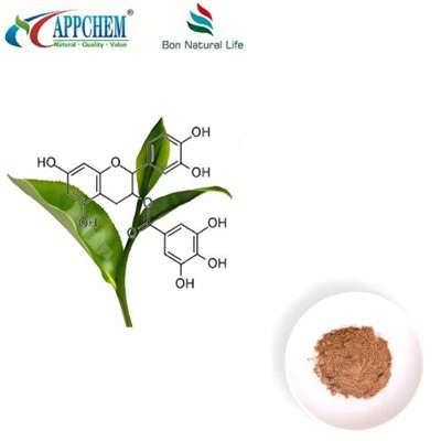Estratt tat-te aħdar Polyphenol