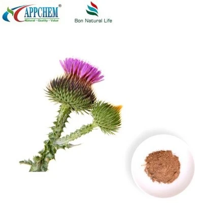 Estratt taż-Żerriegħa tal-Ħalib Thistle