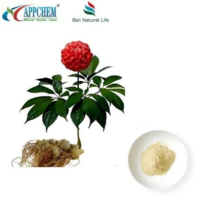 Estratt ta 'l-Għeruq ta' Notoginseng
