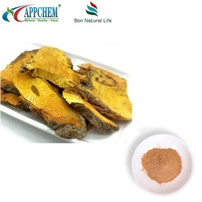 Trab tal-Estratt tar-Resveratrol Polygonum Cuspidatum