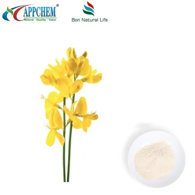 Thermopsis Lanceolata R.Br Estratt; Cytisine HPLC98% Trab 485-35-8